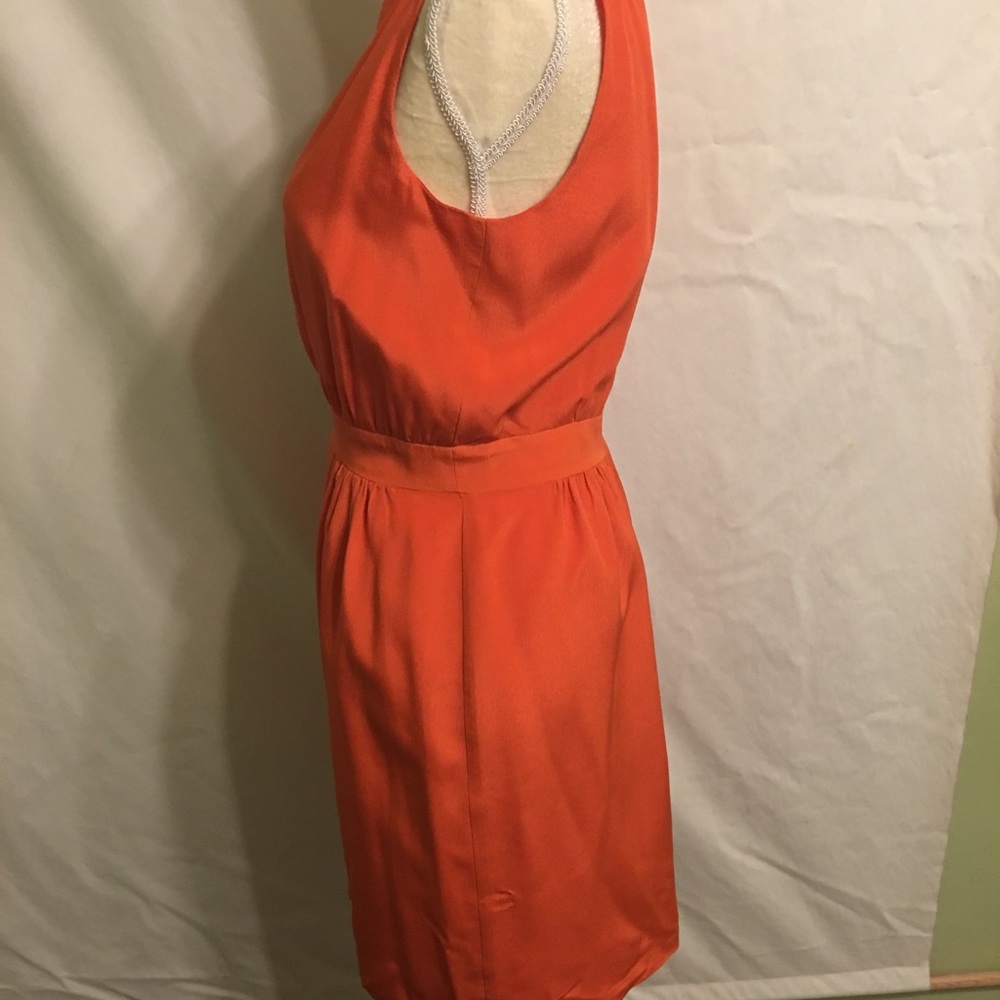 Dress - Picture 6 of 6